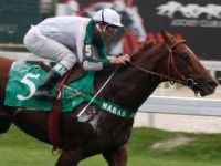 Pro Turfe: amanhã, às 18h30, leilão do Haras The Best