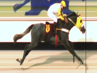 Beduino do Brasil absoluto no GP Linneo de Paula Machado (G3)