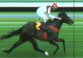 Billion Dollar, do Stud Alvarenga, conquista a I Copa São Paulo de Velocidade