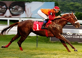 Domínio de Flyboy no Clássico Luiz Rigoni (L.)