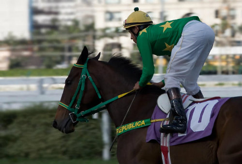 Oito páreos no simulcasting com Cidade Jardim