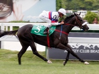 Justhewayouare retorna em grande estilo e coloca o GP Diana (G1) na alça de mira
