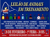 Hoje, às 20 horas, Leilão Super Trainning no Tattersall da Gávea