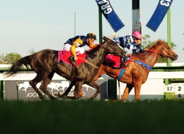 Antonella Baby ainda pertence ao Stud Santa Rosa de Lima