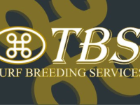 TBS: Inscrições abertas para o próximo leilão