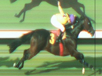 Mr. Angra domina a milha do GP Presidente do Jockey Club (G3)
