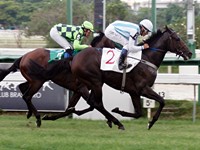 Dubone supera Victorius Champ na Prova Especial Formastérus