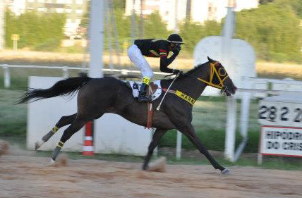 Force To Force é destaque no GP Estado do Rio Grande do Sul (L.), principal prova de hoje no Cristal