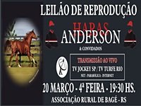 Começa hoje a temporada de Leilões em Bagé