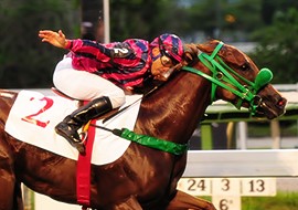 Hegemonia, com a farda do Haras Ipiranga, vence o GP Euvaldo Lodi (G3)