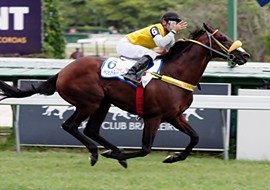 Holding Glory brilha no GP Francisco Eduardo de Paula Machado