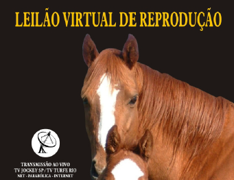 APPS: Hoje, Leilão Virtual de Reprodução