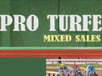 Pro Turfe: Hoje, Leilão Mixed Sales