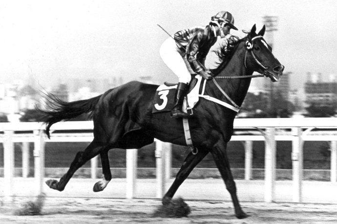 Páreo a páreo – Os homenageados da semana do Haras Ipiranga, por Milton Lodi