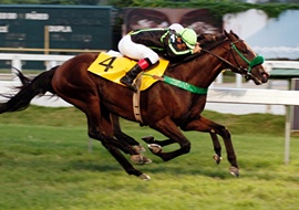 Poker Face, classe e valentia para triunfar no GP Arthur da Costa e Silva (G3)