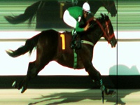 Recorde e domínio total de Victory Is Ours no GP Piratininga (G2)