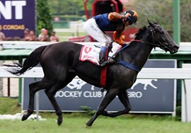 Abidjan, classe e categoria no GP Zélia Gonzaga Peixoto de Castro (G1)