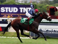 Atropelada irresistível de Beauséjour na P.E. Jockey Club do Rio Grande do Sul