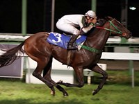 Flanática, a melhor na P.E. Jockey Club do Paraná