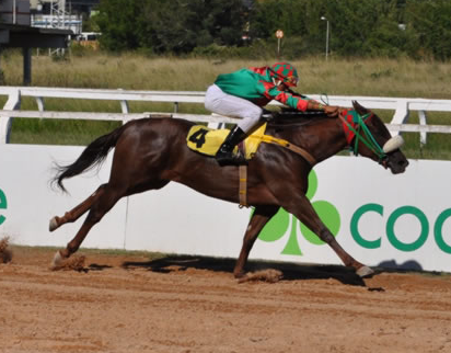Começa hoje a Tríplice Coroa Juvenil no Hipódromo do Cristal