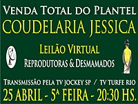 Nesta quinta-feira Leilão da Coudelaria Jéssica