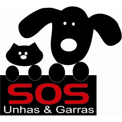 JCB apóia adoção de animais, especial gatos do Jockey – 13/04
