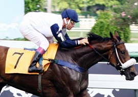 Addeds confirmados: GP Roberto e Nelson Grimaldi Seabra (G1)