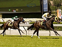 Viva Carina tira segundo no Santa Barbara Handicap (G2)