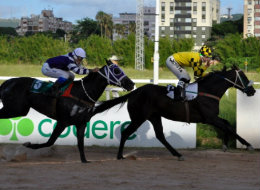 Hoje, no Hipódromo do Cristal, prova clássica fecha a reunião com dez páreos