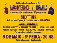 Interlagos e LLC abrem na próxima semana a temporada de leilões
