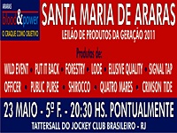 Nesta quinta-feira, no Tattersall da Gávea, o esperado “Araras Blood & Power”