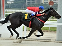 Avenger Of Light larga e acaba no GP Antenor de Lara Campos (G2)