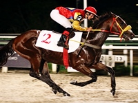 Tinindo, Arquimedes vence a P.E. ACPCPSI