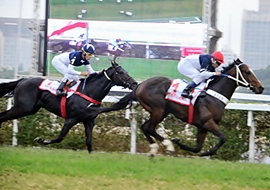 Beto Boss e Tap Is Back, dobrada do Stud Alvarenga no GP ABCPCC (G1)