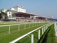 Nove páreos no simulcasting com Cidade Jardim