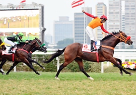 Gober, o brilhante campeão do GP São Paulo (G1)
