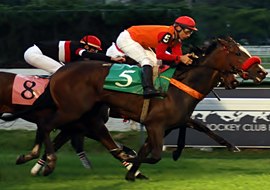 Hed Kandi atropela forte para vencer o Criterium