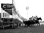 Confira as indicações de Fernando Lopes para corrida de hoje, na Gávea