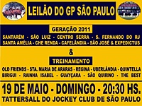 Em SP, domingo, logo após o último páreo, Leilão de Potros e Animais em Treinamento
