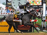 A saga continua, Orb fracassa e Oxbow triunfa no Preakness Stakes (G1)