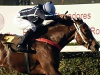 ADDED – Grande Prêmio OSAF (G1) – 1ª Parcela