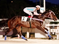 Confira as indicações de Fernando Lopes para corrida de hoje, na Gávea