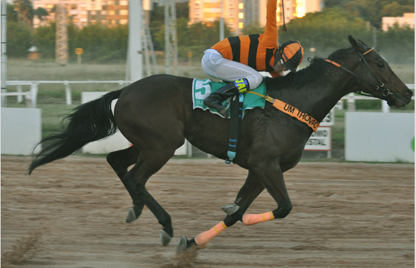 Hoje, no Hipódromo do Cristal, seis animais confirmados no Derby Riograndense (L.)