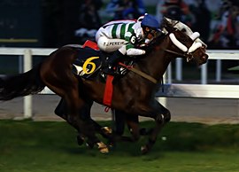 Líder e emocionante, Baccelo vence o GP Jockey Club Brasileiro (G1)