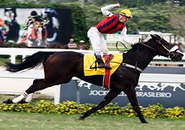 Confira o added do GP Diana (G1), com Brilhantíssima e mais 16 concorrentes