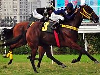 Simulcasting com São Paulo terá G2 e Prova Especial