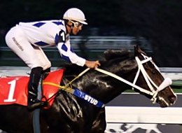 Fora do Criterium, líder Farrier está confirmado na Taça de Prata