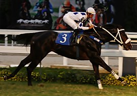 Farrier, o líder e imbatível ganhador do GP João Adhemar de Almeida Prado (G1)