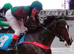 Seletivas da Taça de Prata, as atrações do simulcasting com SP