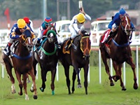 Duas provas de G1 no sensacional simulcasting com Cidade Jardim